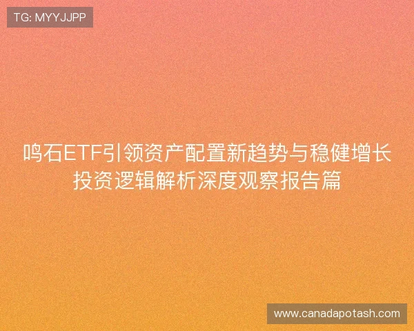 鸣石ETF引领资产配置新趋势与稳健增长投资逻辑解析深度观察报告篇 鸣石ETF引领资产配置新趋势与稳健增长投资逻辑解析深度观察报告篇